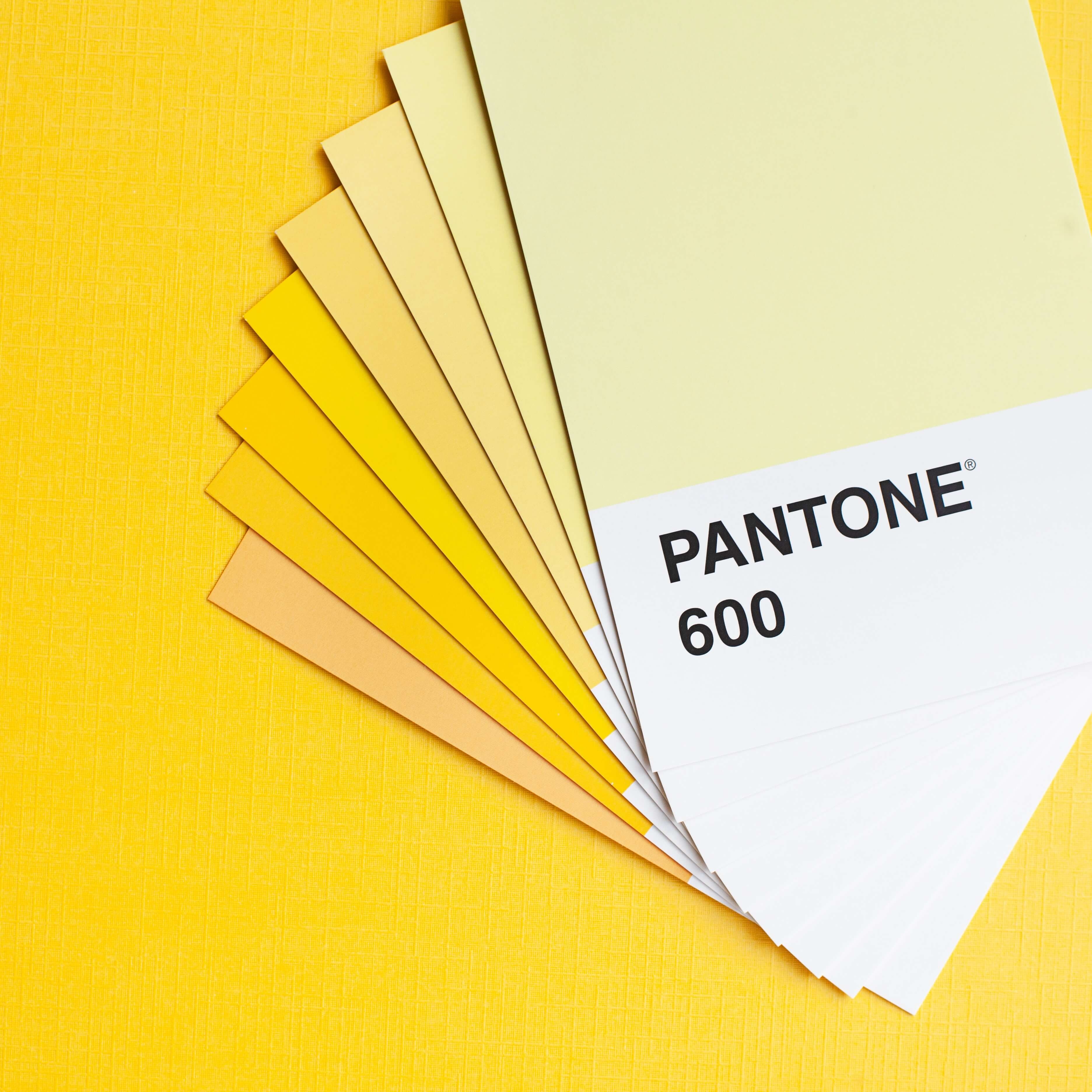 Mastering Color Theory for Web Design – The Easy Way